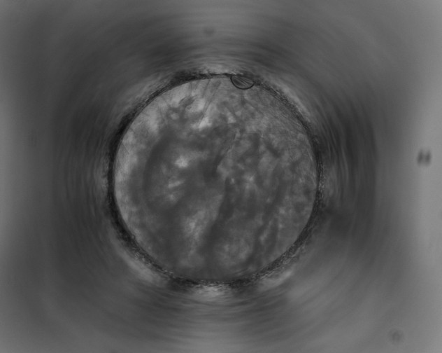 X0000101390402200807280942