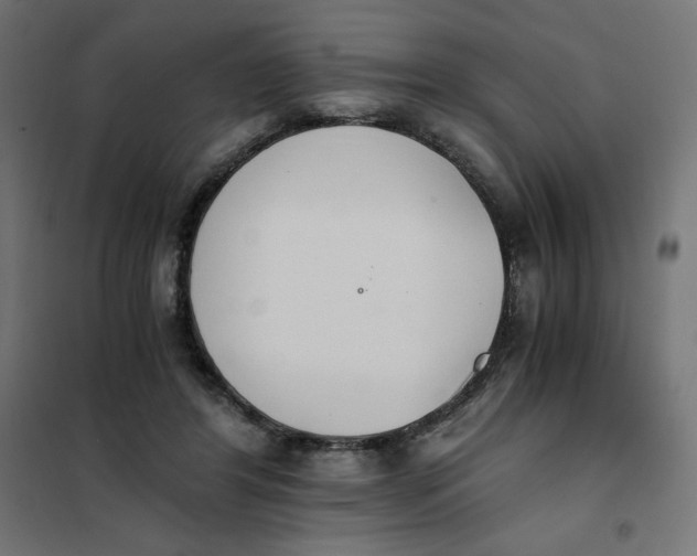 X0000101390404200807280942