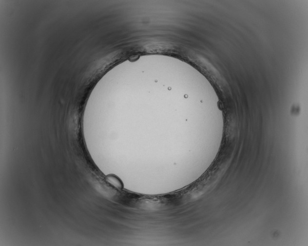 X0000101390405200807280942