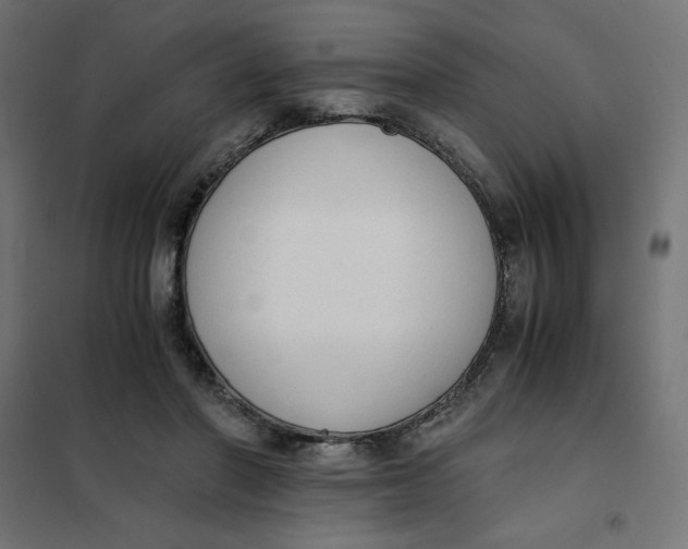 X0000101390406200807280942