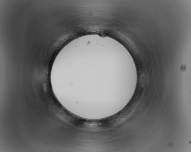 X0000101390407200807280942