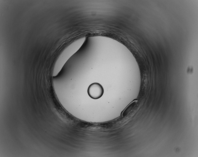 X0000101390408200807280942