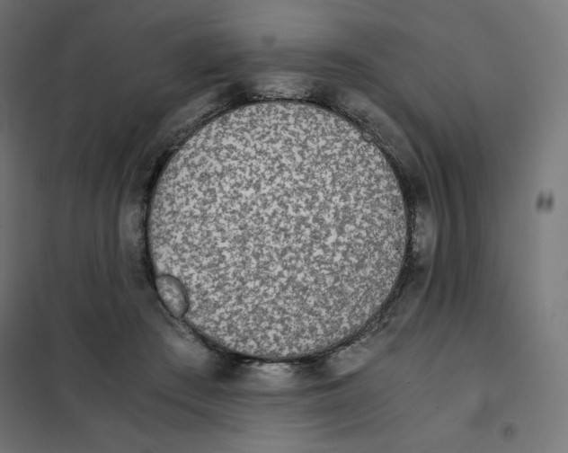 X0000101390409200807280942