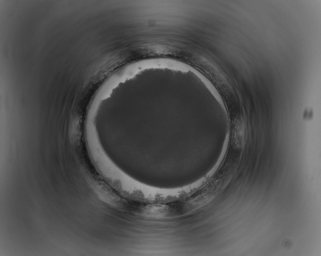 X0000101390410200807280942