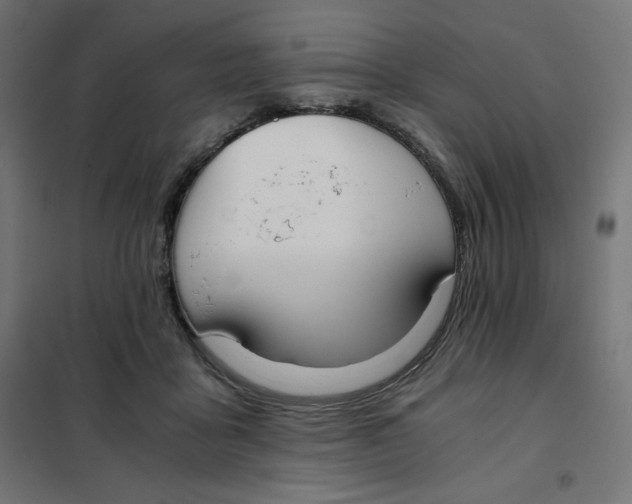 X0000101390411200807280942