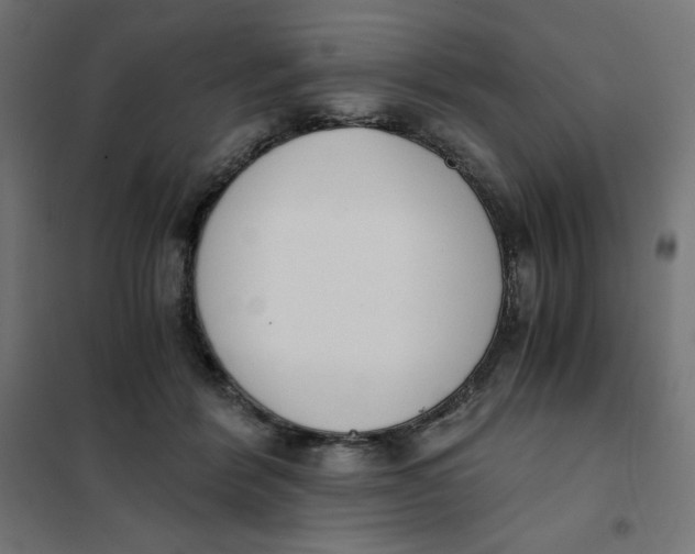X0000101390412200807280942