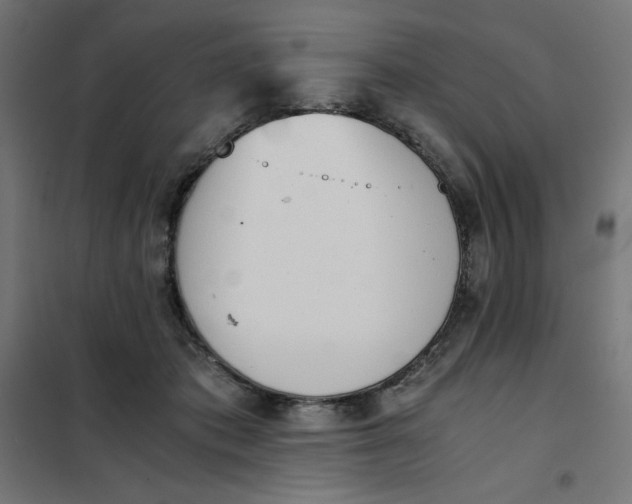 X0000101390413200807280942