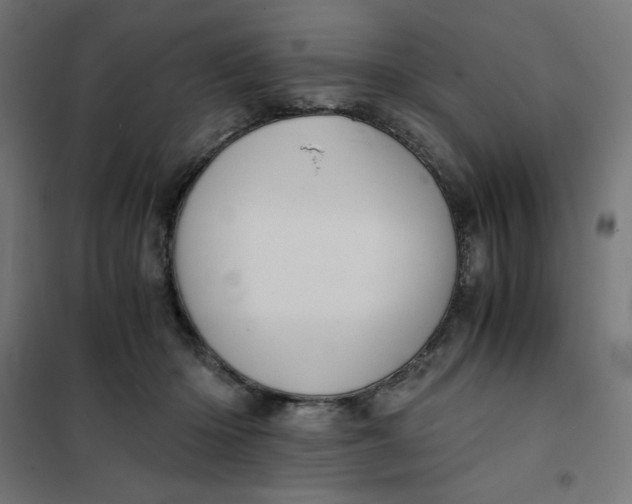 X0000101390414200807280942