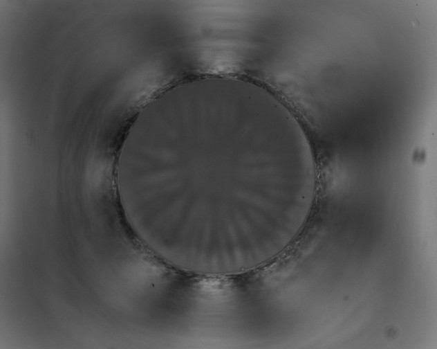 X0000101390415200807280942