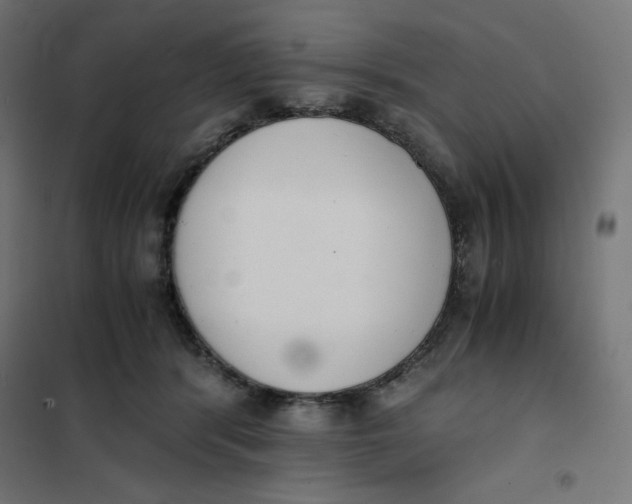 X0000101390416200807280942