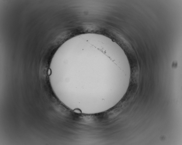 X0000101390417200807280942