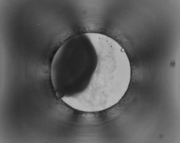 X0000101390419200807280942