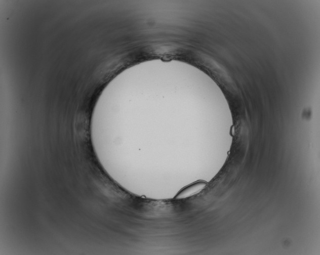 X0000101390421200807280942