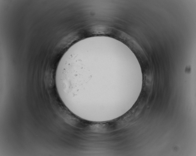 X0000101390422200807280942