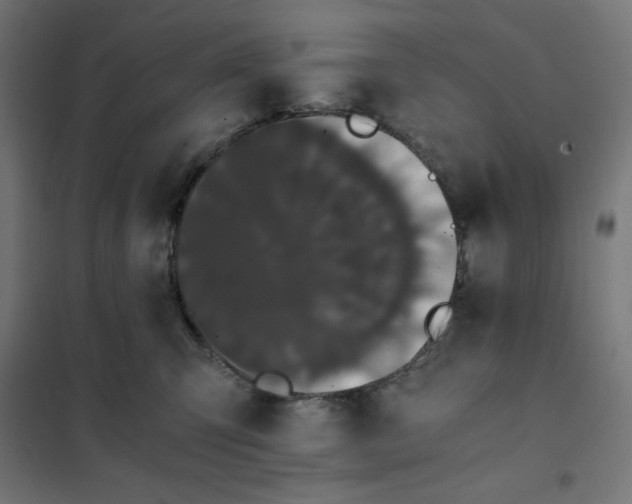X0000101390423200807280942