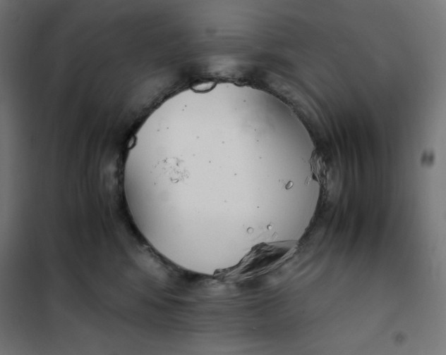 X0000101390424200807280942