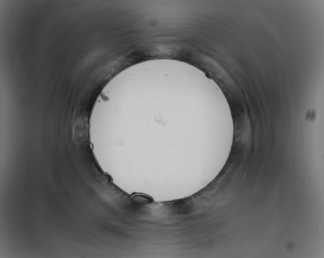 X0000101390425200807280942