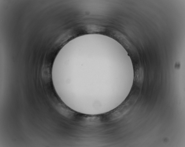 X0000101390426200807280942