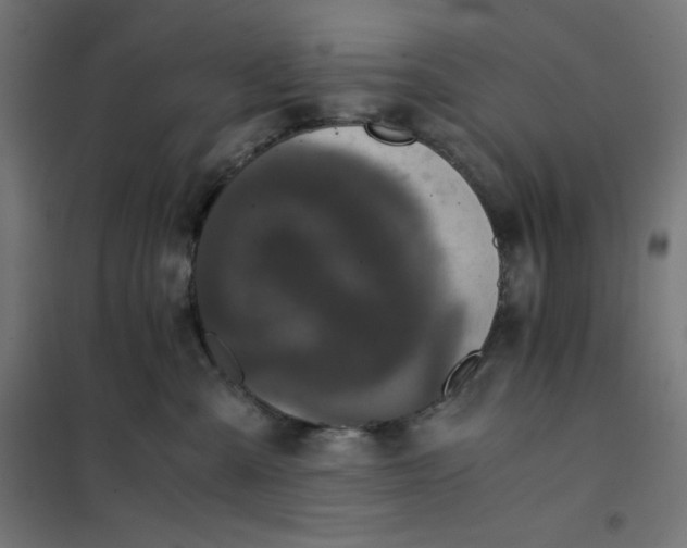 X0000101390427200807280942