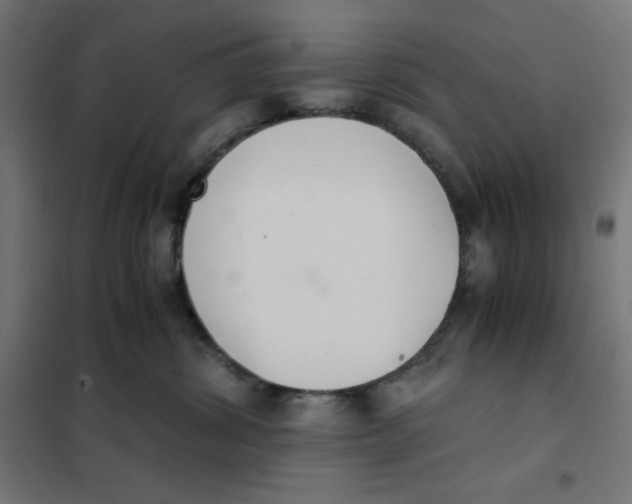 X0000101390428200807280942