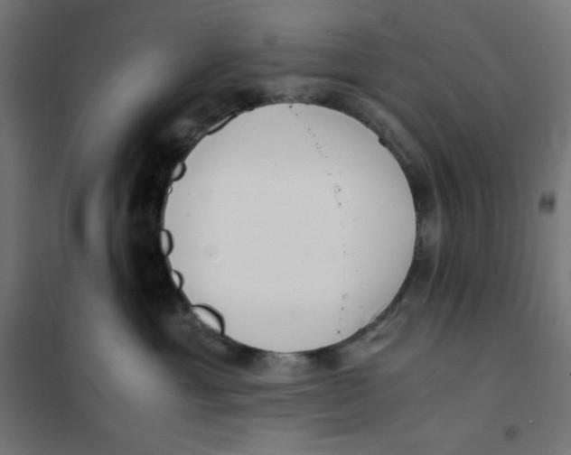 X0000101390429200807280942