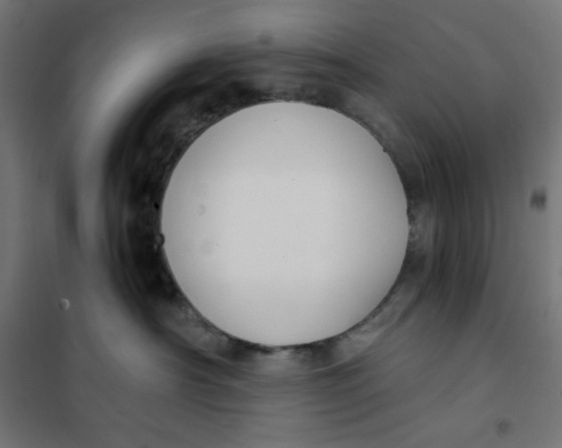 X0000101390430200807280942