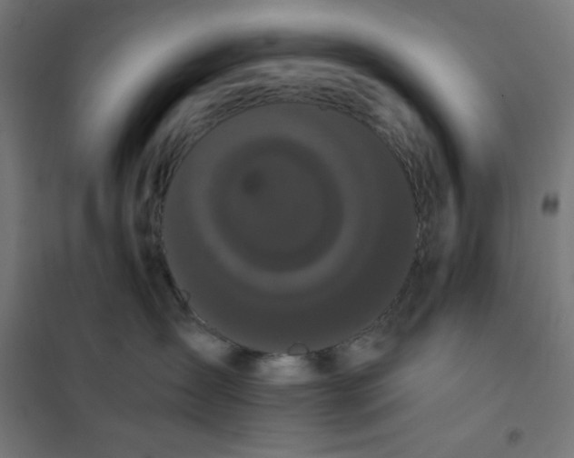 X0000101390431200807280942