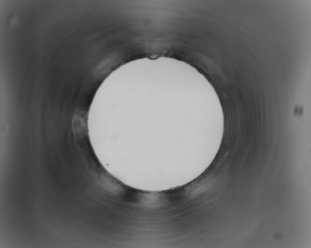 X0000101390432200807280942
