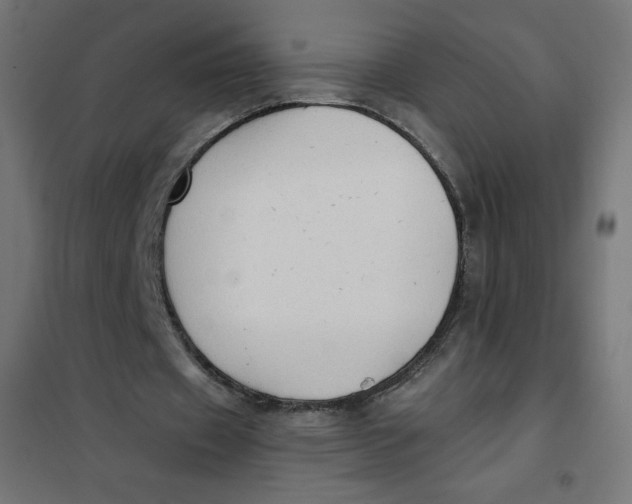 X0000101390433200807280941