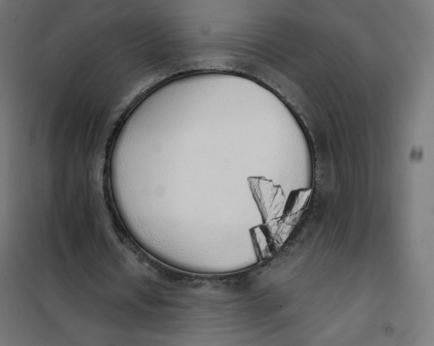 X0000101390434200807280941