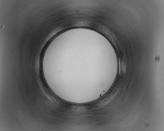 X0000101390435200807280941