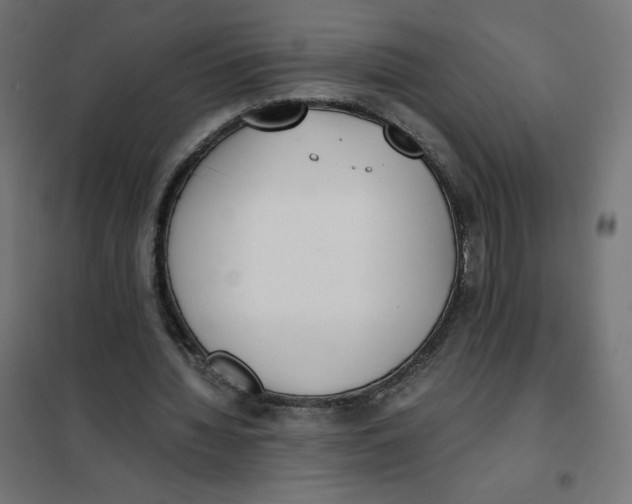 X0000101390436200807280941