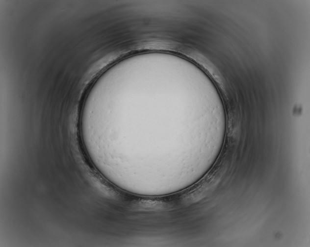 X0000101390437200807280941