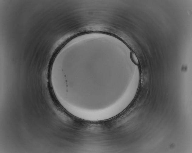 X0000101390438200807280941