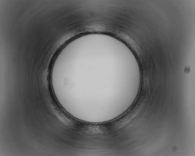X0000101390439200807280941