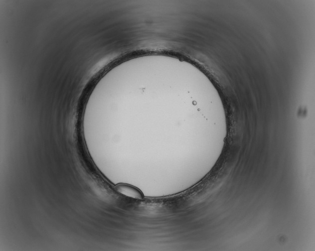 X0000101390440200807280941