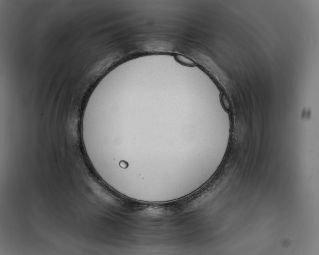 X0000101390441200807280941