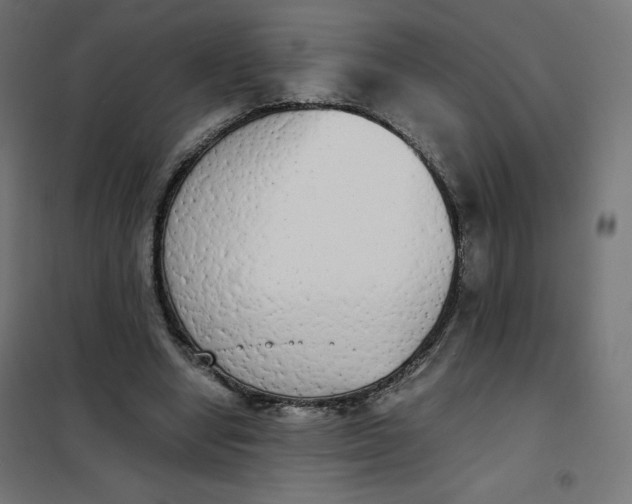X0000101390442200807280941