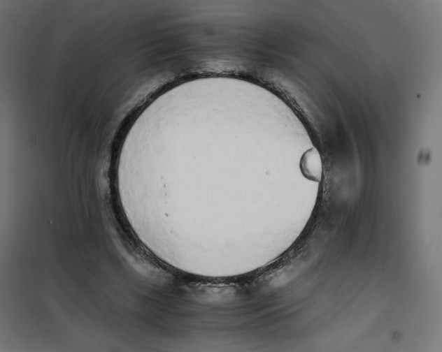 X0000101390443200807280941