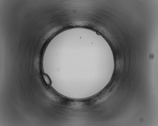 X0000101390444200807280941