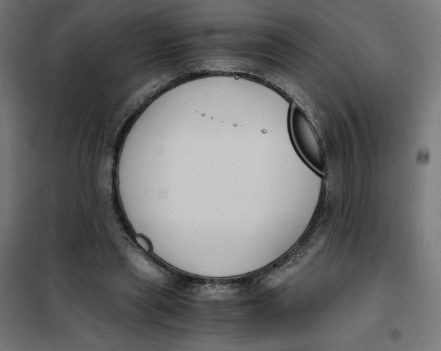 X0000101390445200807280941