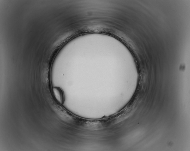 X0000101390446200807280941