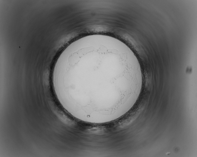 X0000101390447200807280941