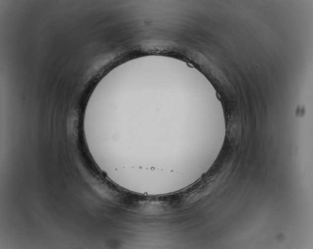 X0000101390448200807280941
