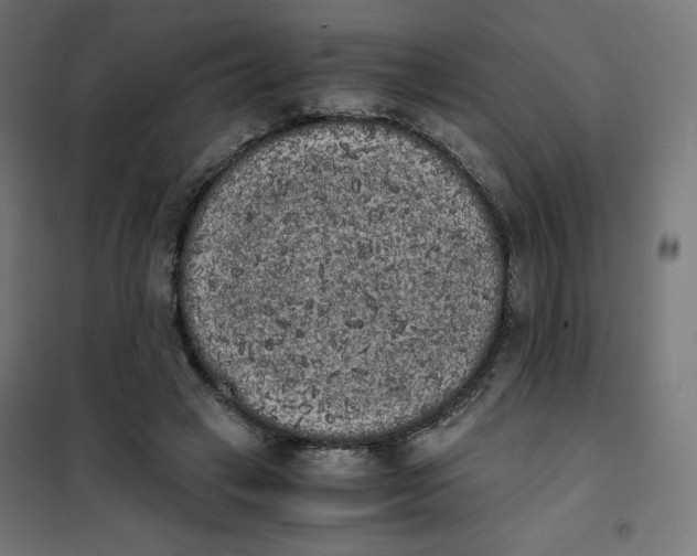 X0000101390449200807280941