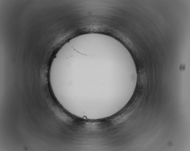 X0000101390450200807280941