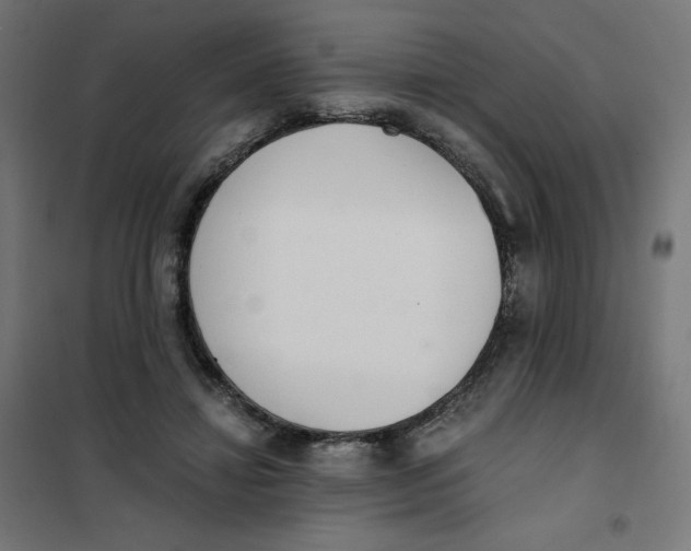 X0000101390452200807280941