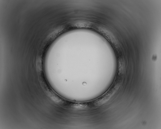 X0000101390453200807280941