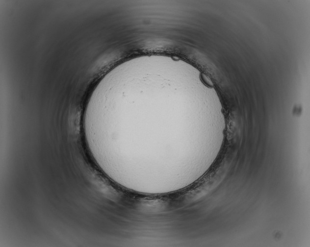 X0000101390454200807280941