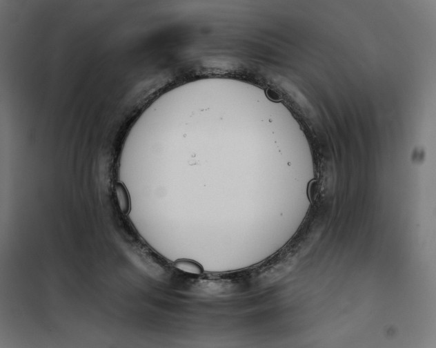 X0000101390455200807280941